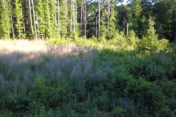1012 Chartel Circle  photo 4