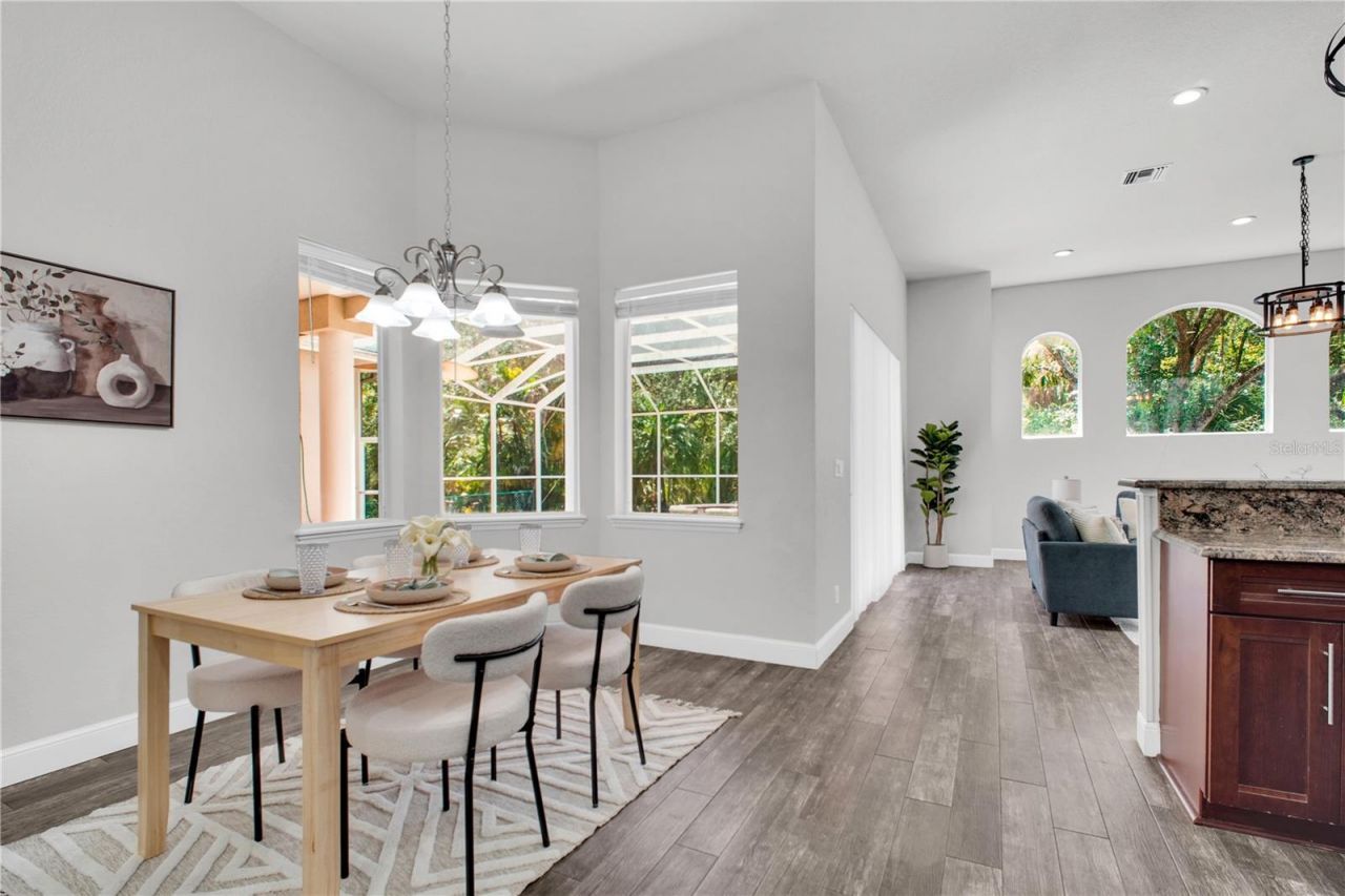 4931 Turtle Creek Trail, Oldsmar, FL 34677 Photo