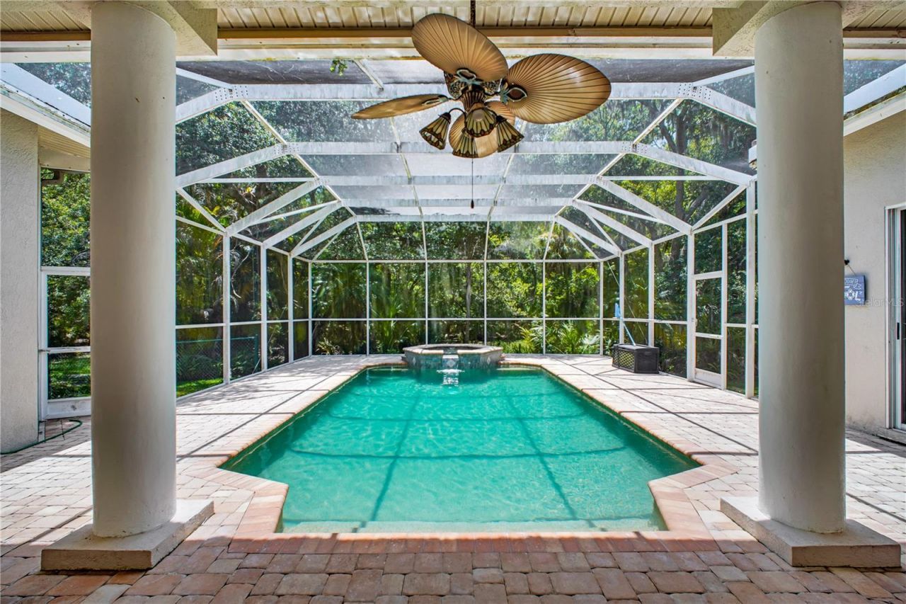 4931 Turtle Creek Trail, Oldsmar, FL 34677 Photo