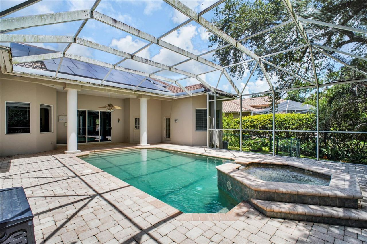 4931 Turtle Creek Trail, Oldsmar, FL 34677 Photo