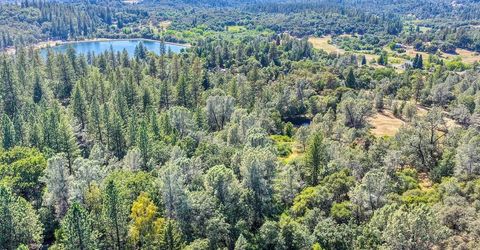 Conifer, Auburn, CA 95602 Photo