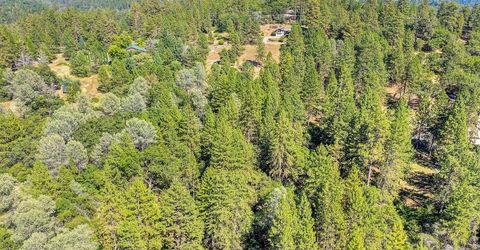 Conifer, Auburn, CA 95602 Photo