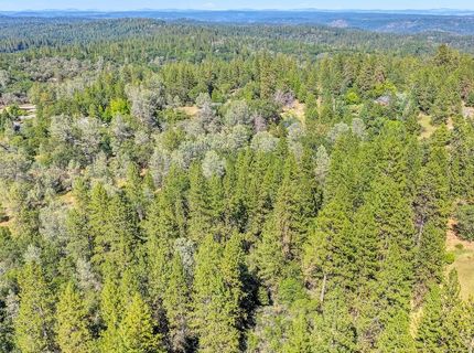 Conifer, Auburn, CA 95602 Photo