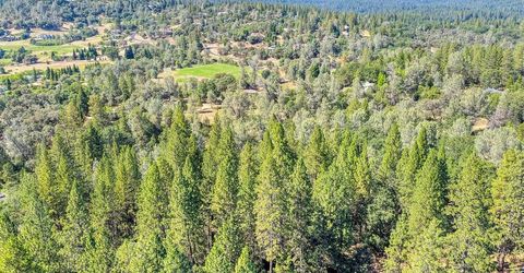 Conifer, Auburn, CA 95602 Photo
