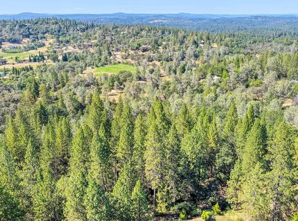 Conifer, Auburn, CA 95602 Photo