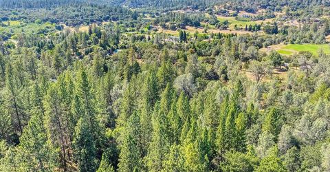 Conifer, Auburn, CA 95602 Photo