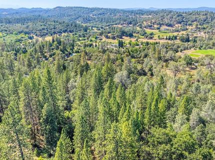 Conifer, Auburn, CA 95602 Photo