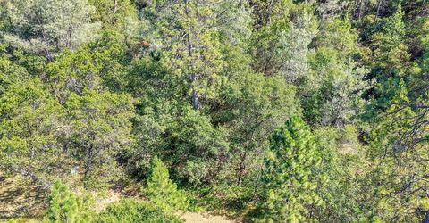 Conifer, Auburn, CA 95602 Photo