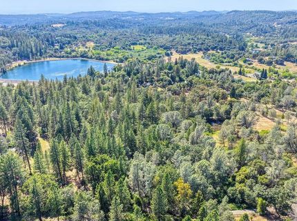 Conifer, Auburn, CA 95602 Photo