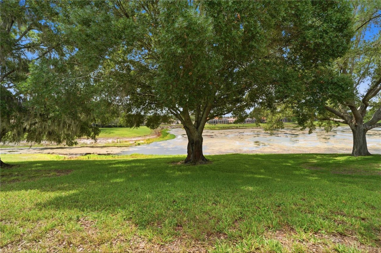 9276 Lake Cypress Loop, Weeki Wachee, FL 34613 Photo