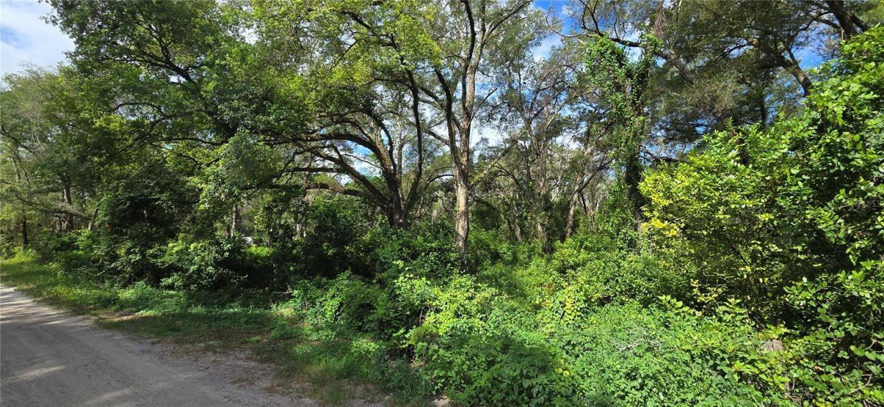 15621 Daybreeze Drive , Spring Hill, FL 34610 Photo