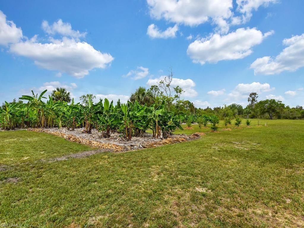50436 Bermont Rd , Punta Gorda, FL 33982 Photo