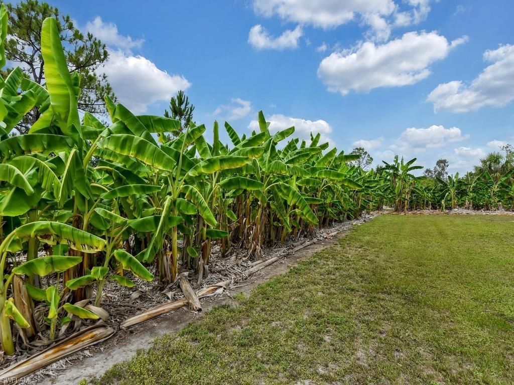 50436 Bermont Rd , Punta Gorda, FL 33982 Photo