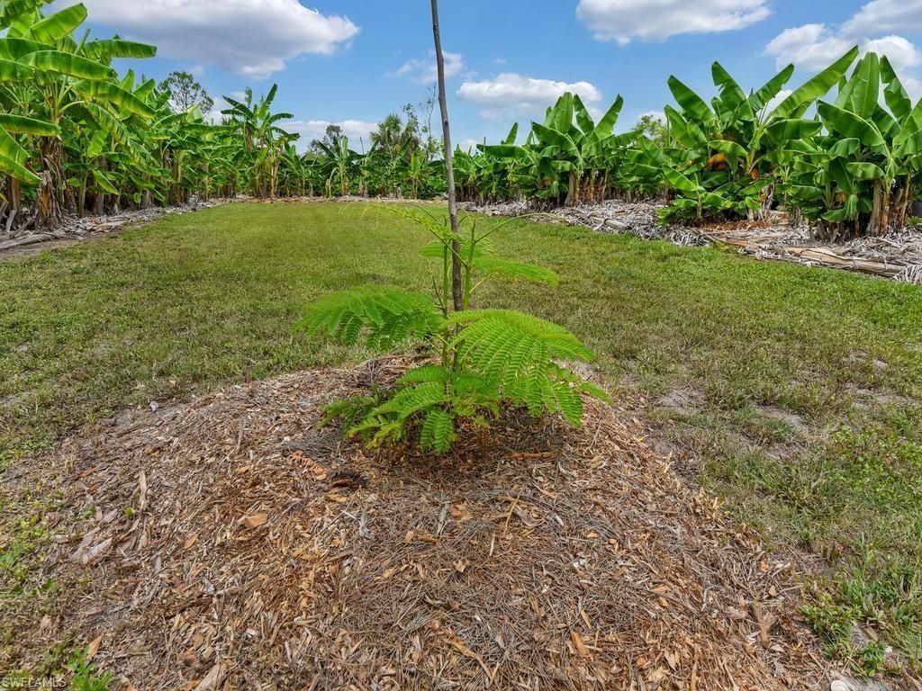50436 Bermont Rd , Punta Gorda, FL 33982 Photo