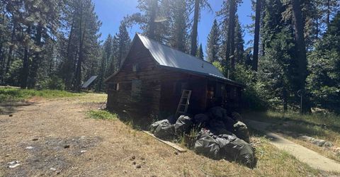 412 Lundy Lane, Blairsden, CA 96103 Photo