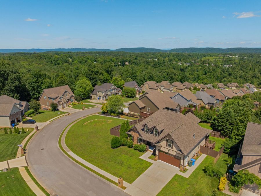 Property Image 61