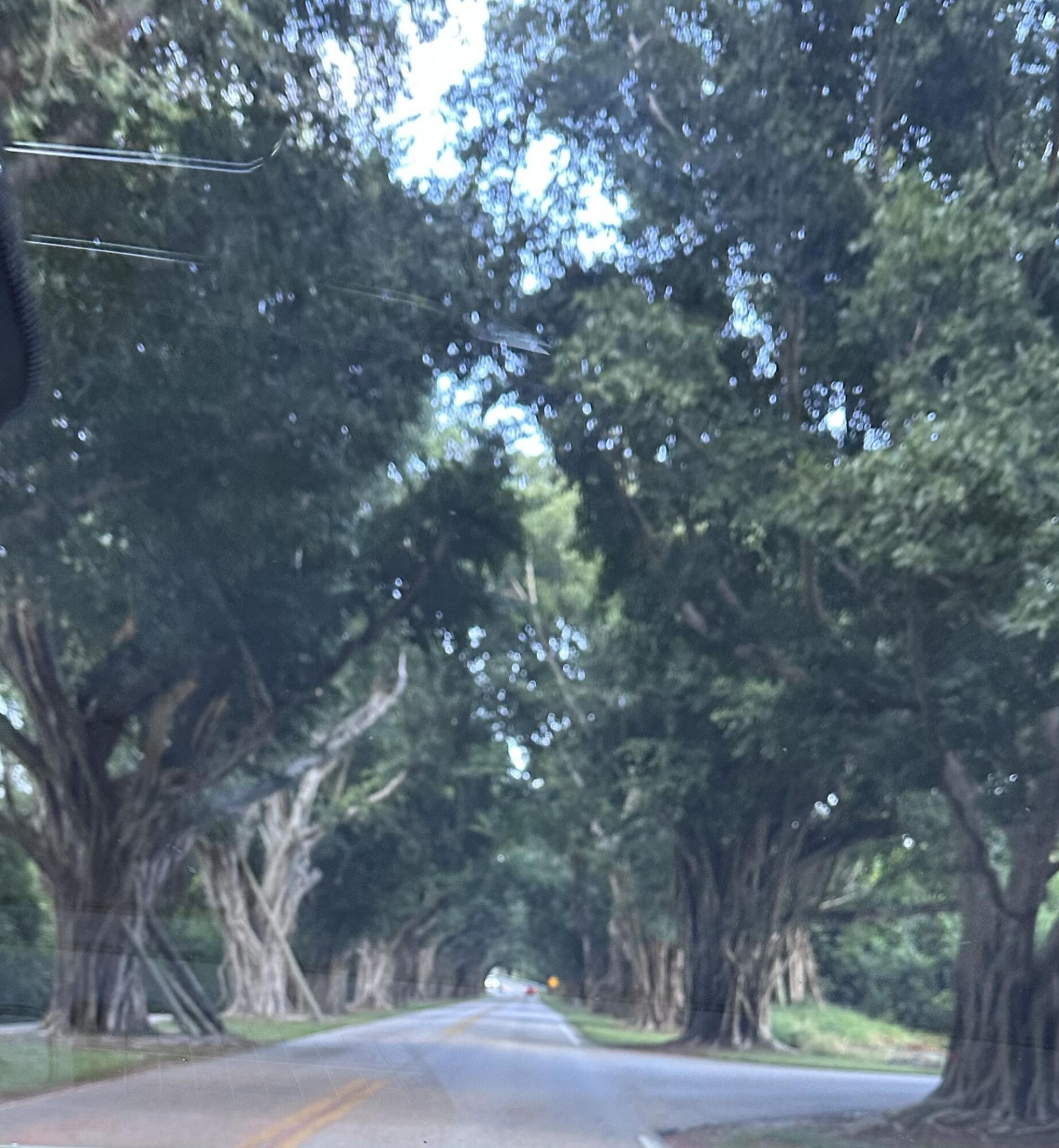8379 SE Eagle Avenue, Hobe Sound, FL 33455 Photo