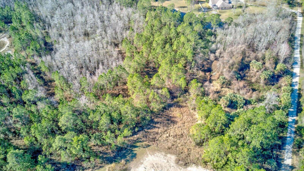 0000 Rodeo Acres, Ormond Beach, FL 32174 Photo