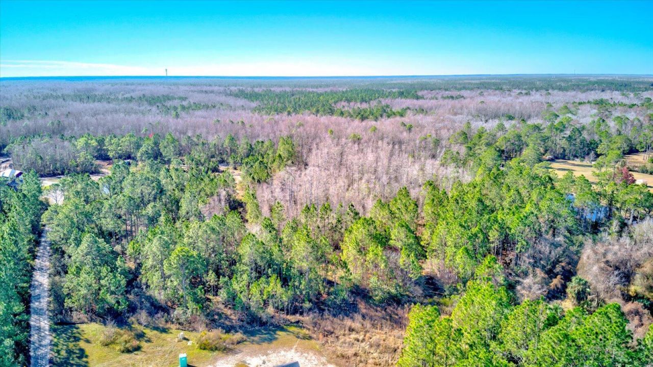 0000 Rodeo Acres, Ormond Beach, FL 32174 Photo