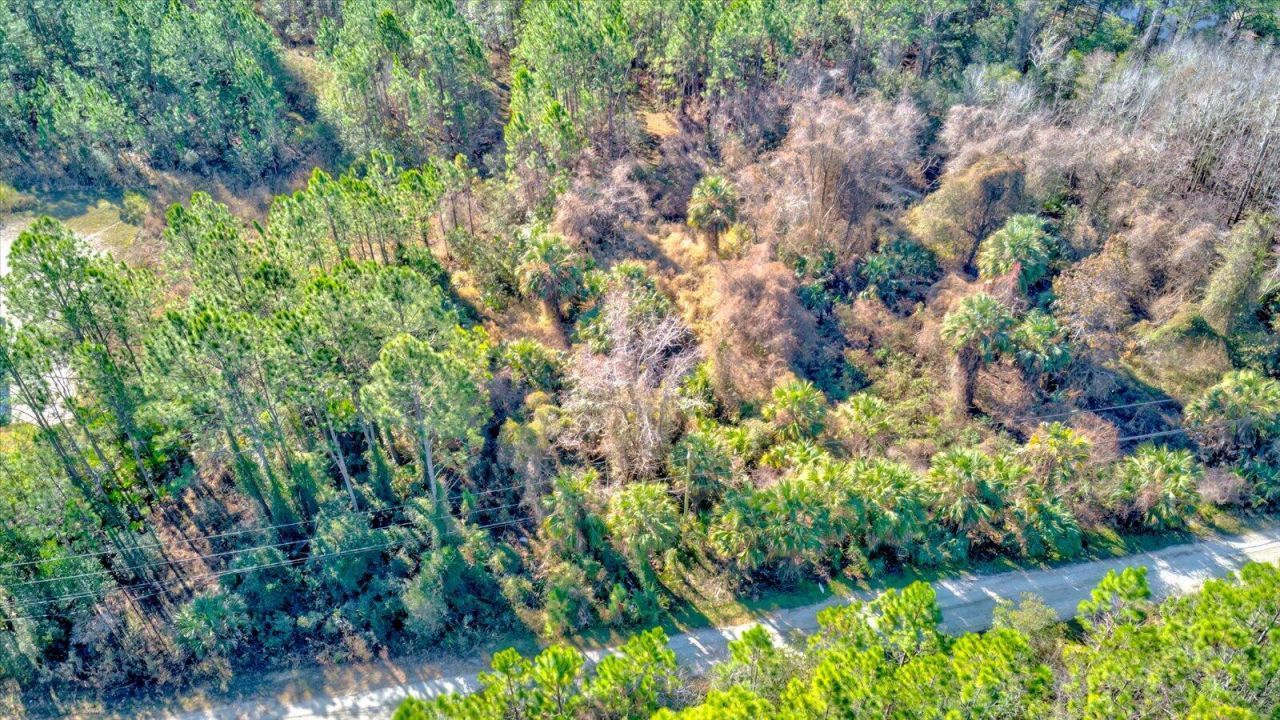 0000 Rodeo Acres, Ormond Beach, FL 32174 Photo