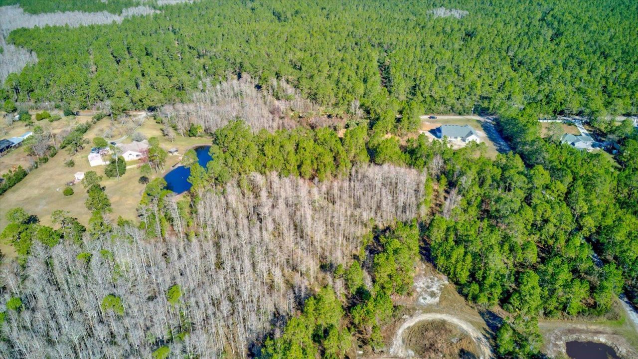 0000 Rodeo Acres, Ormond Beach, FL 32174 Photo