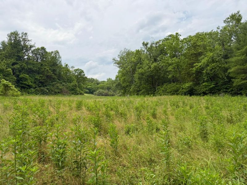 0 N Falls Road, Paint Twp, OH 45612 Photo 15