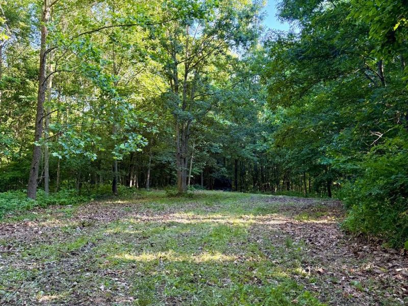 0 N Falls Road, Paint Twp, OH 45612 Photo 27
