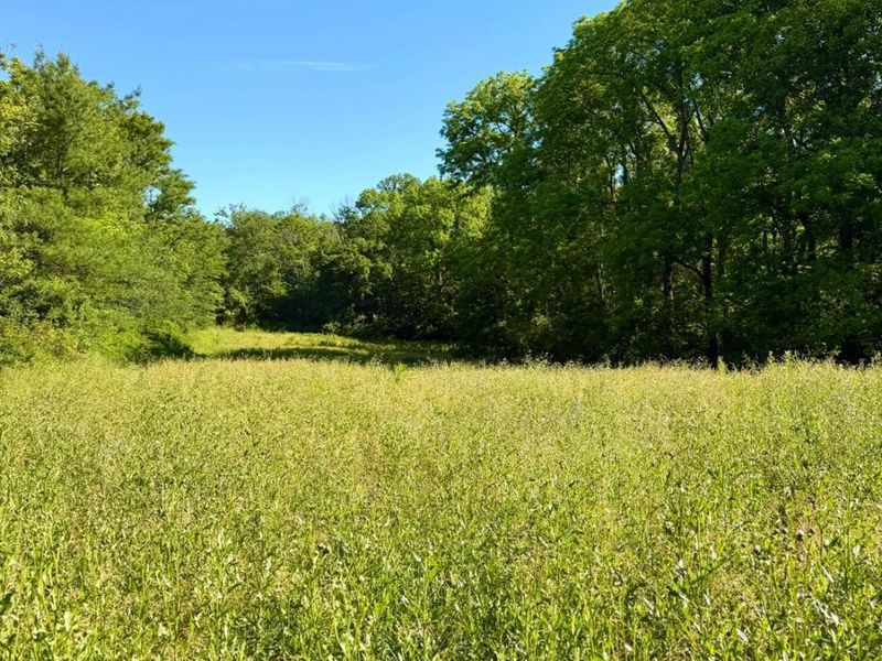 0 N Falls Road, Paint Twp, OH 45612 Photo 30