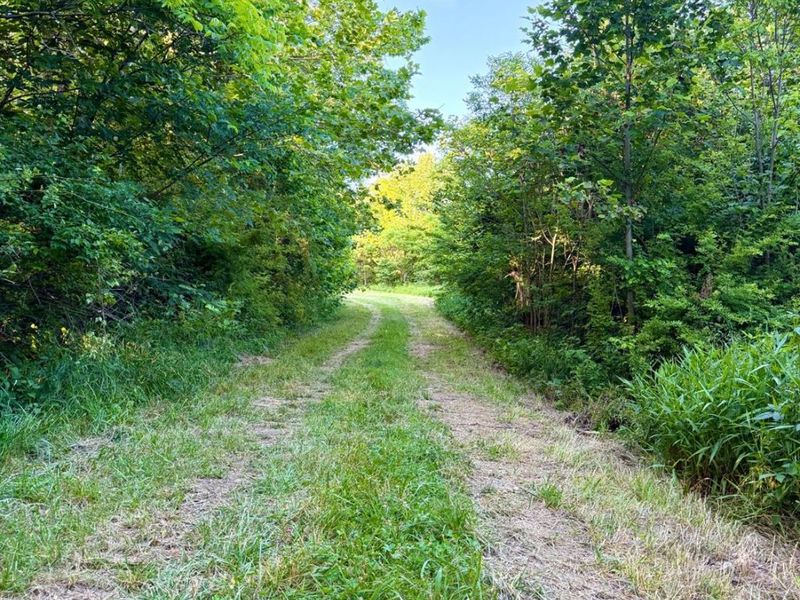 0 N Falls Road, Paint Twp, OH 45612 Photo 60