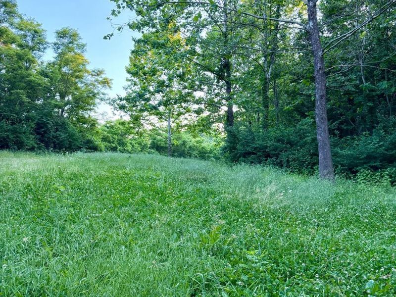 0 N Falls Road, Paint Twp, OH 45612 Photo 69