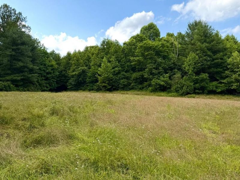 0 N Falls Road, Paint Twp, OH 45612 Photo 77