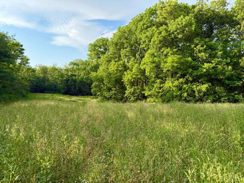 0 N Falls Road, Paint Twp, OH 45612 Photo 82