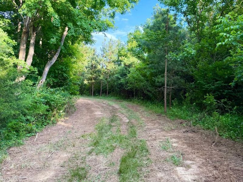 0 N Falls Road, Paint Twp, OH 45612 Photo 83