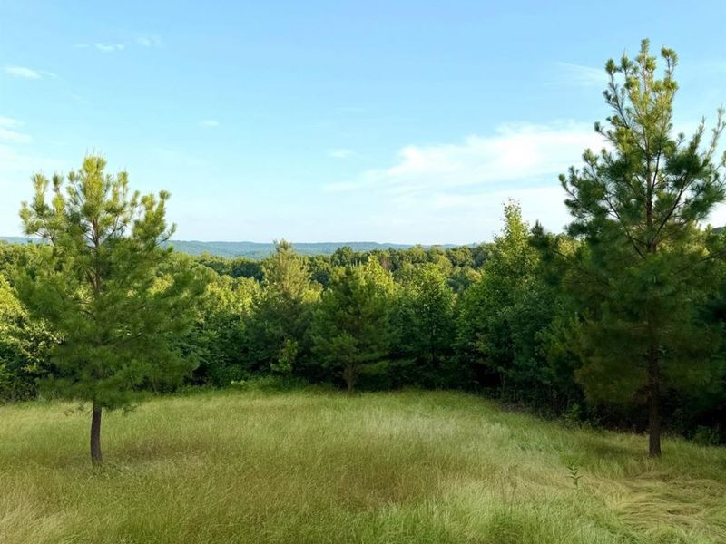 0 N Falls Road, Paint Twp, OH 45612 Photo 93