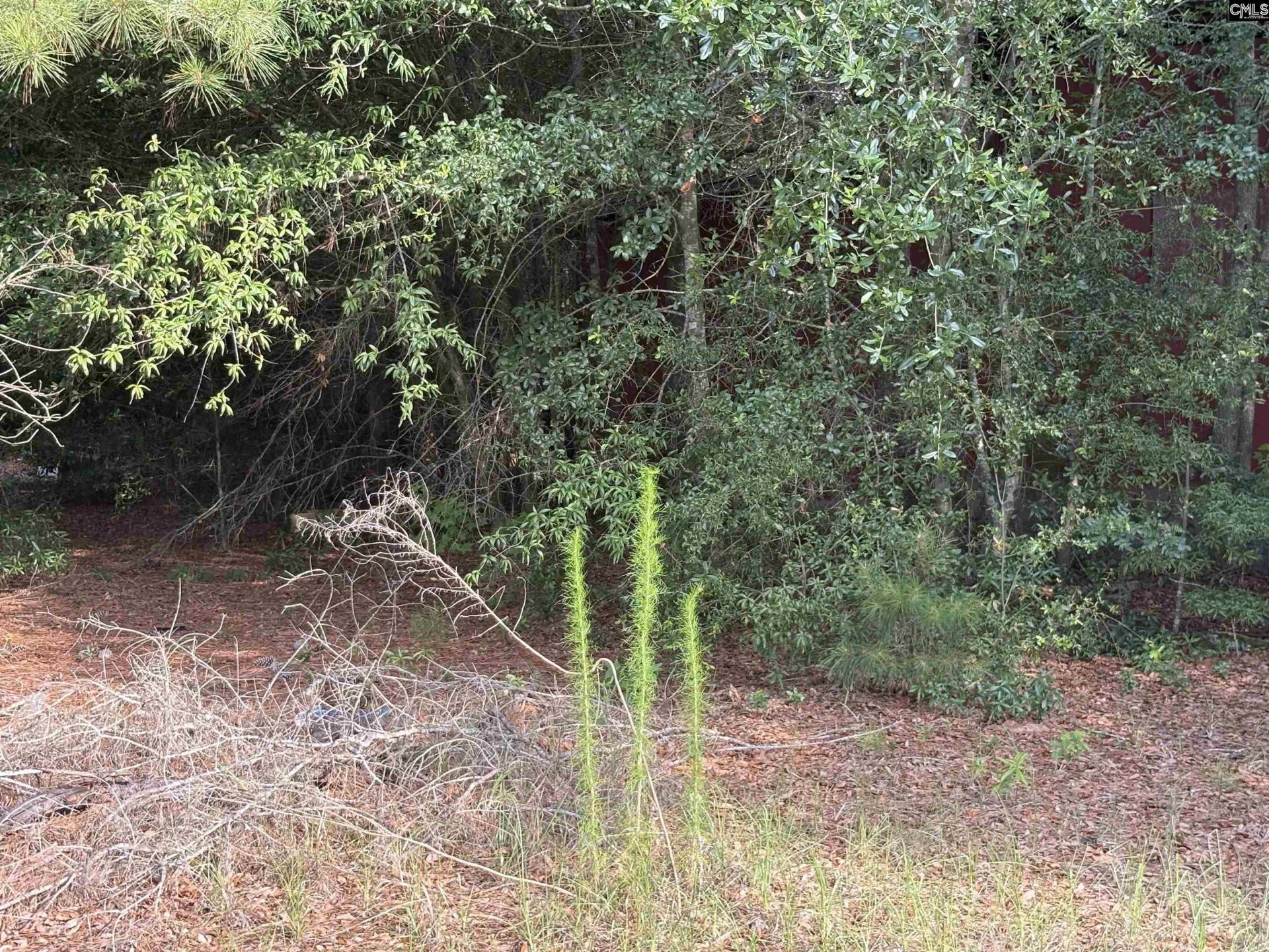 545 Flinns Road  Photo 10