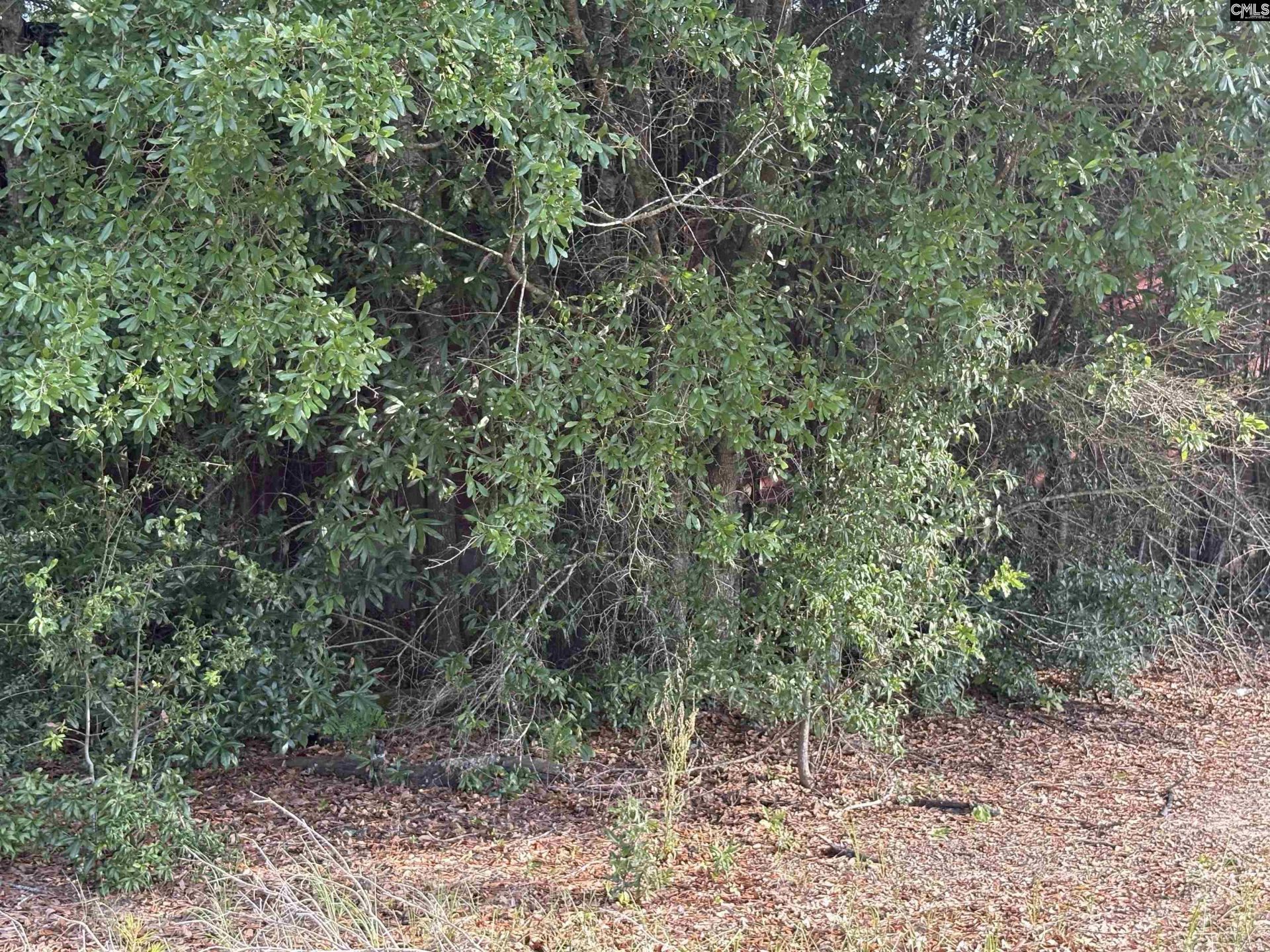 545 Flinns Road  Photo 11