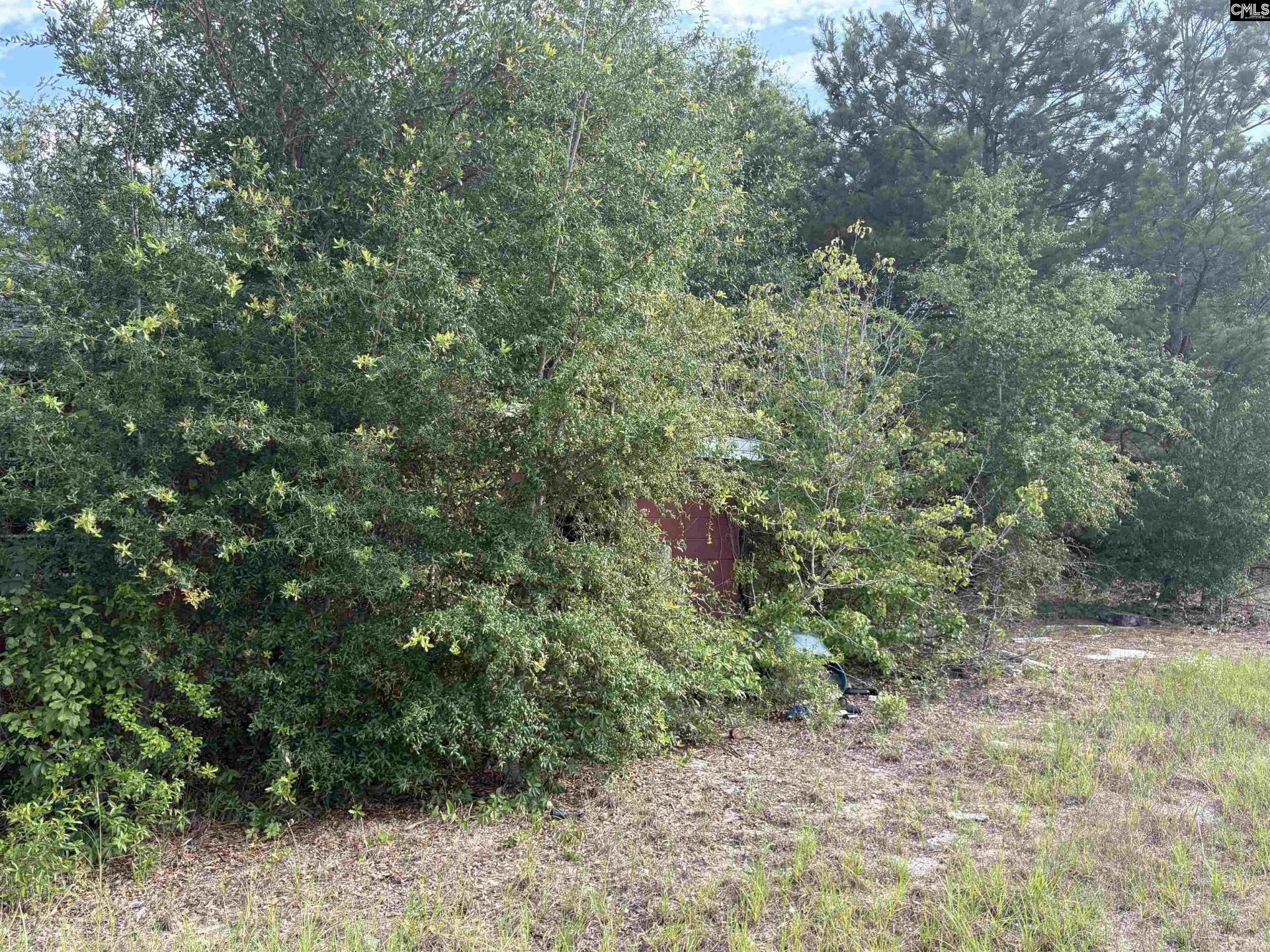 545 Flinns Road  Photo 12
