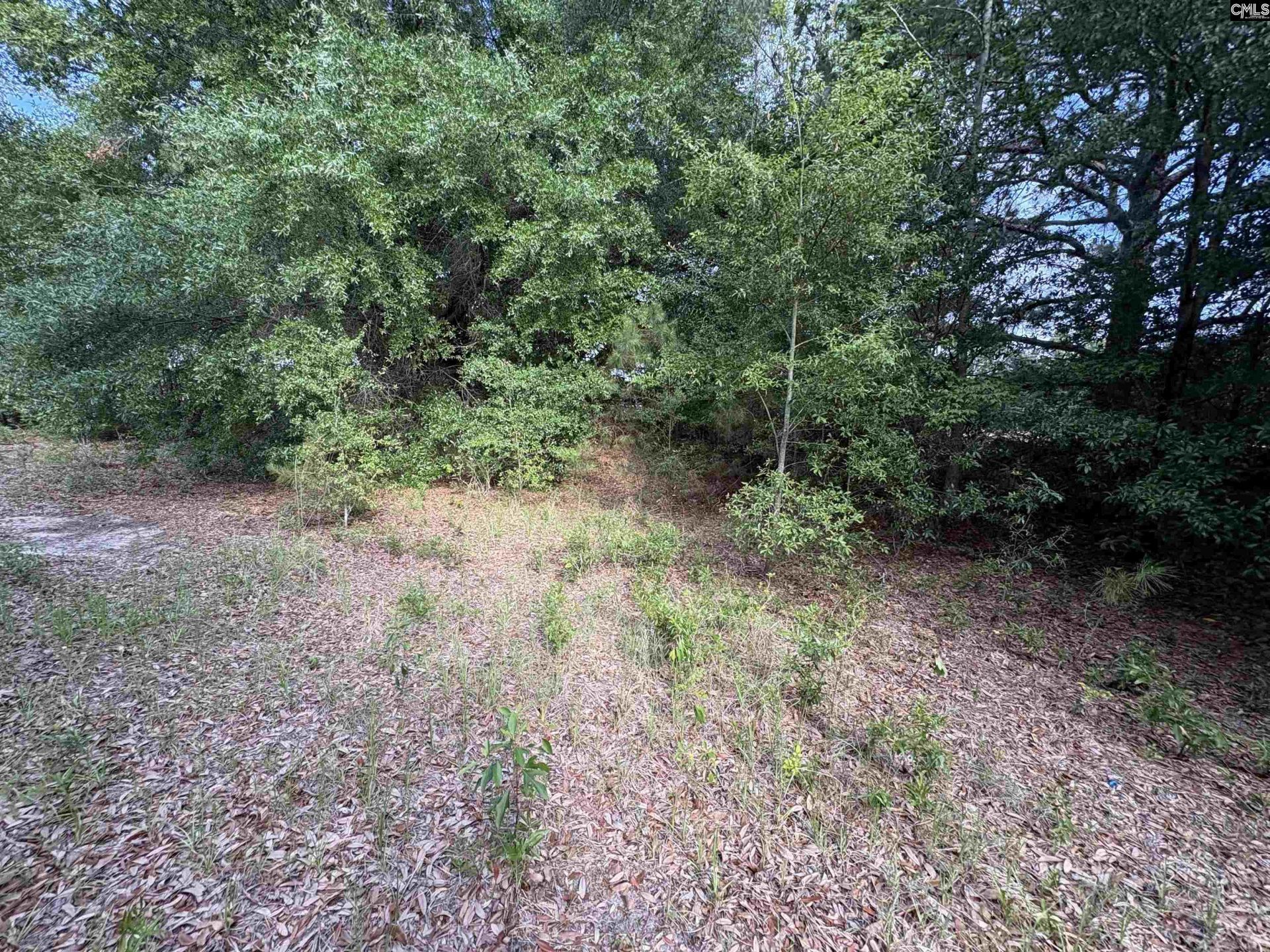 545 Flinns Road  Photo 14