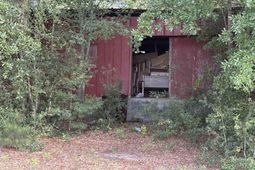 545 Flinns Road  photo 4