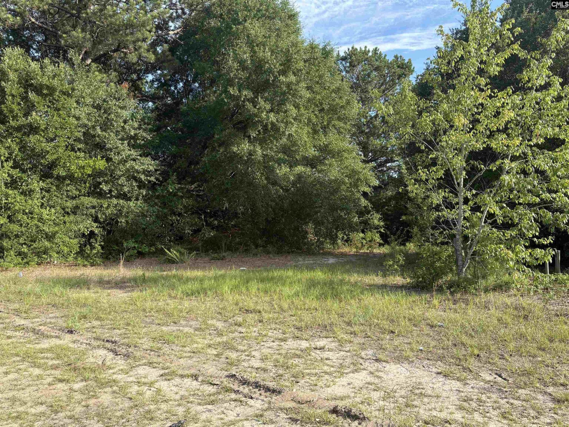 545 Flinns Road  Photo 6