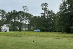 Tbd Long Meadow Dr.  photo 4