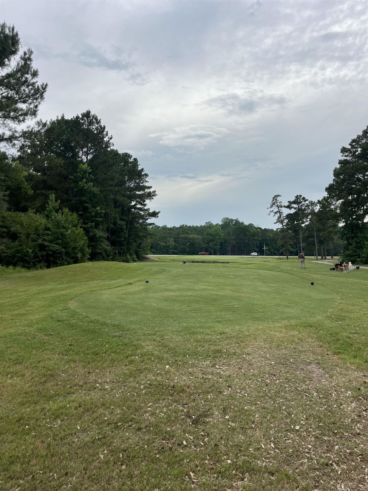 Tbd Long Meadow Dr.  Photo 4