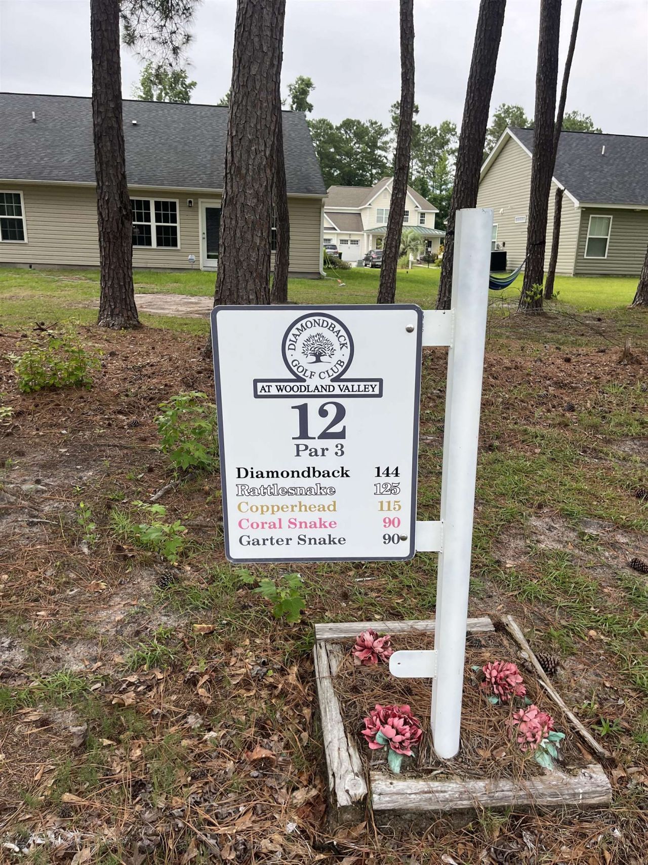Tbd Long Meadow Dr.  Photo 5