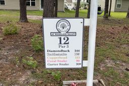 Tbd Long Meadow Dr.  photo 4