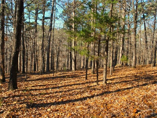 18178 Railroad Cut Road , Rogers, AR 72756