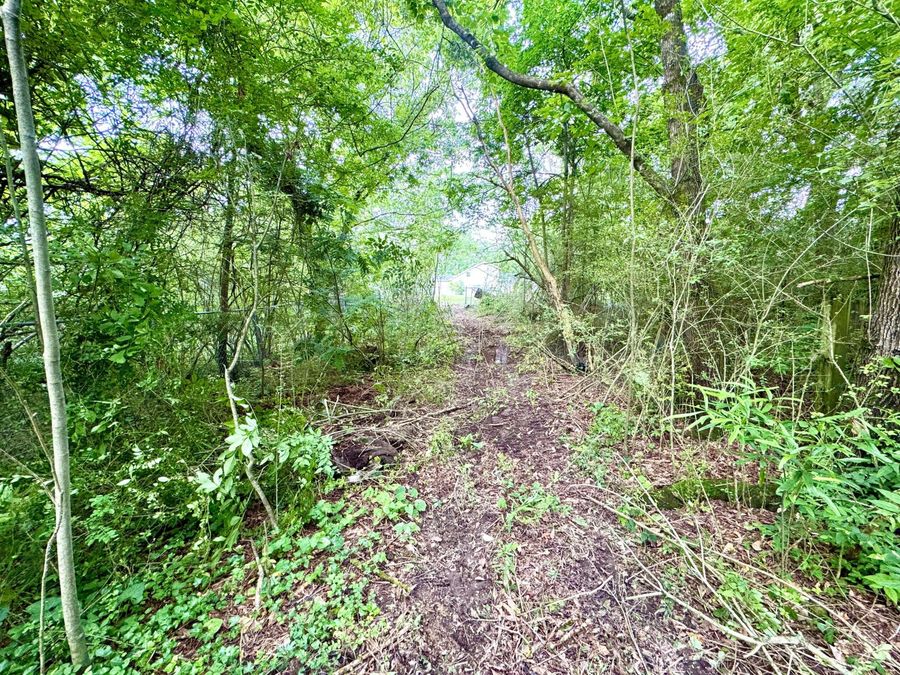 Property Image 58
