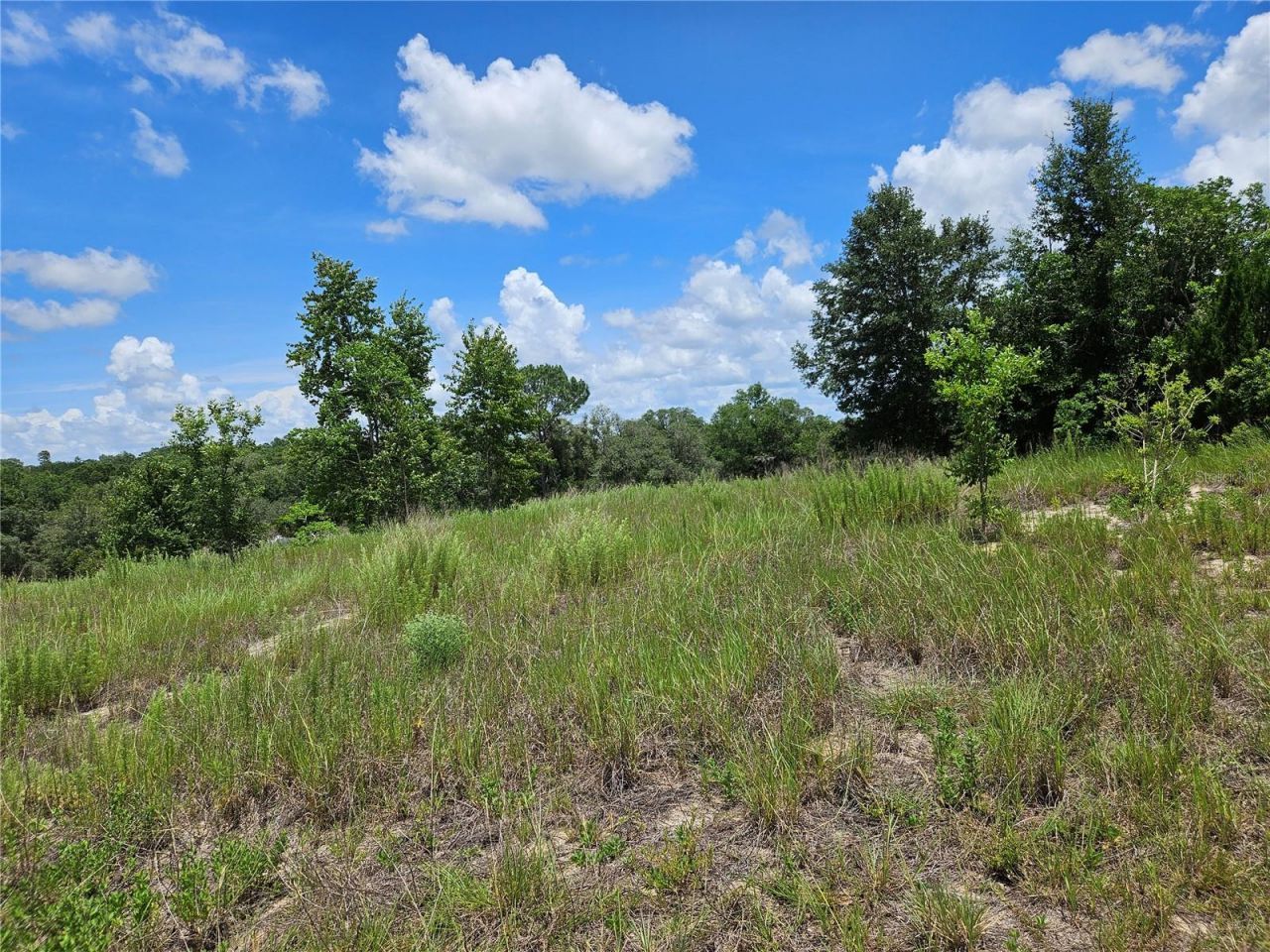 3814 W Rancetta Street , Dunnellon, FL 34433 Photo