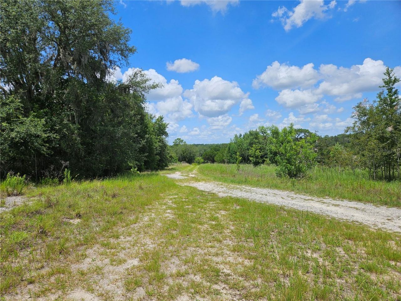 3814 W Rancetta Street , Dunnellon, FL 34433 Photo