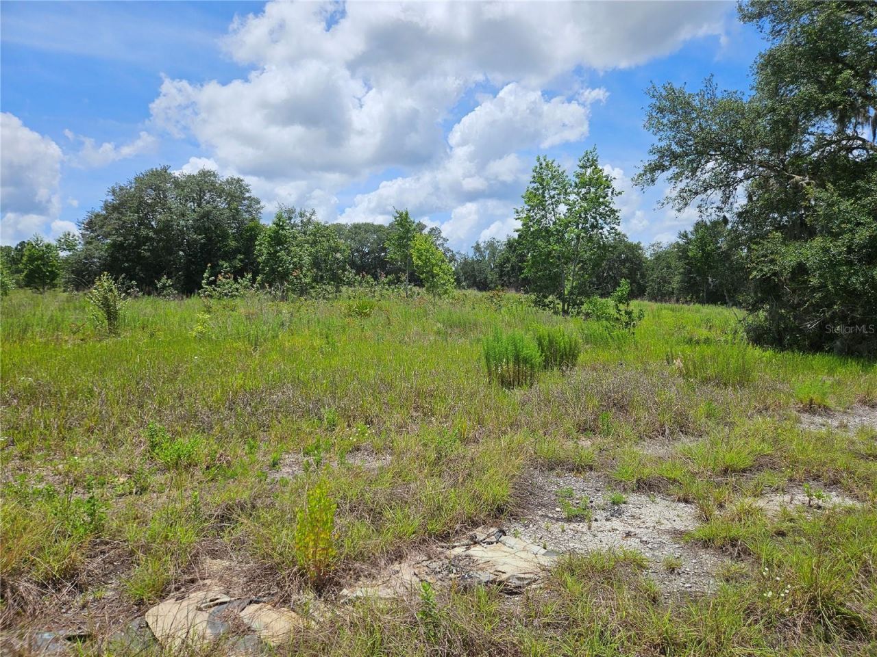 3814 W Rancetta Street , Dunnellon, FL 34433 Photo