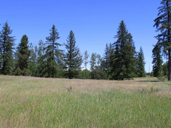 45XX W Gibson-Dahl Rd, Clayton, WA 99110